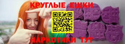 тгк Бийск