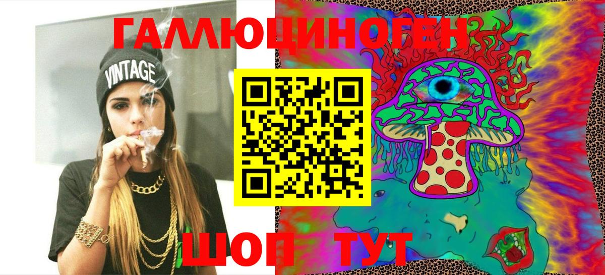 Галлюциногенные грибы GOLDEN TEACHER  магазин продажи   Будённовск  Псилоцибиновые грибы Psilocybe  Вход с VPN 