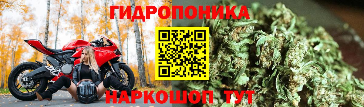 Каннабис индика  Будённовск  Бошки Шишки SATIVA & INDICA  МАРИХУАНА OG Kush 